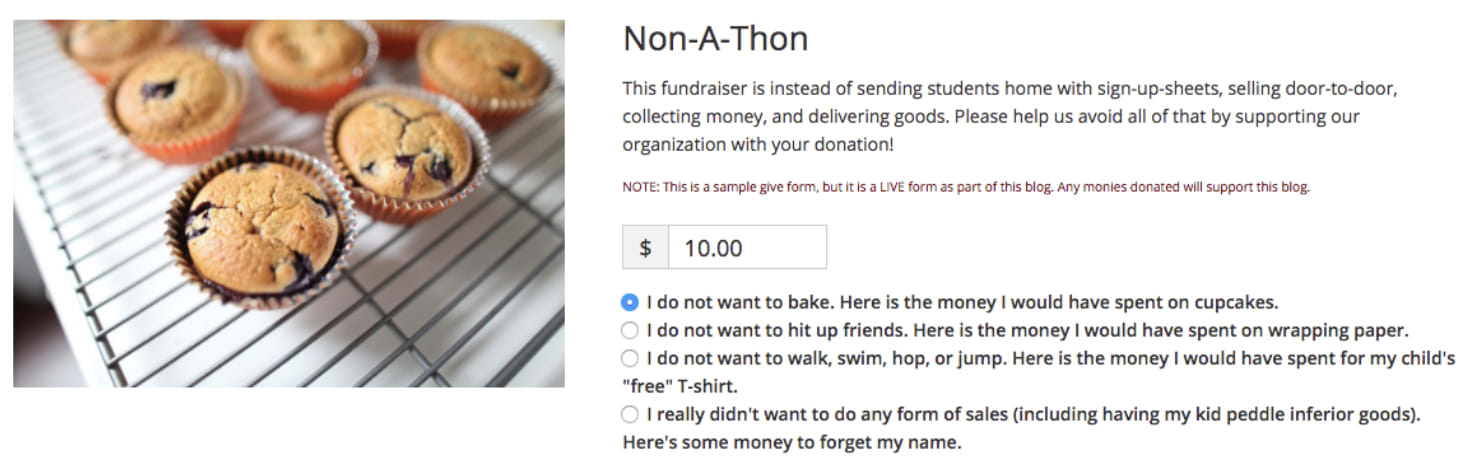 GiveWP donation form for a school