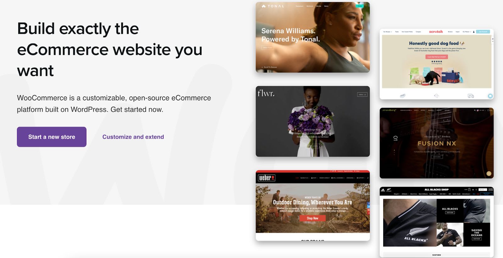 WooCommerce is a great platform for building a profitable ecommerce business.