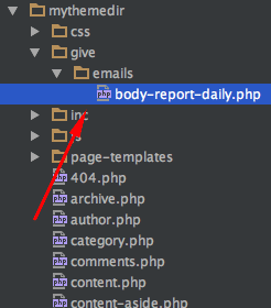 Overriding the default daily email report template