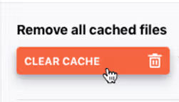 wp rocket plugin