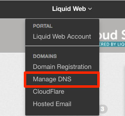 manage dns link highlighted