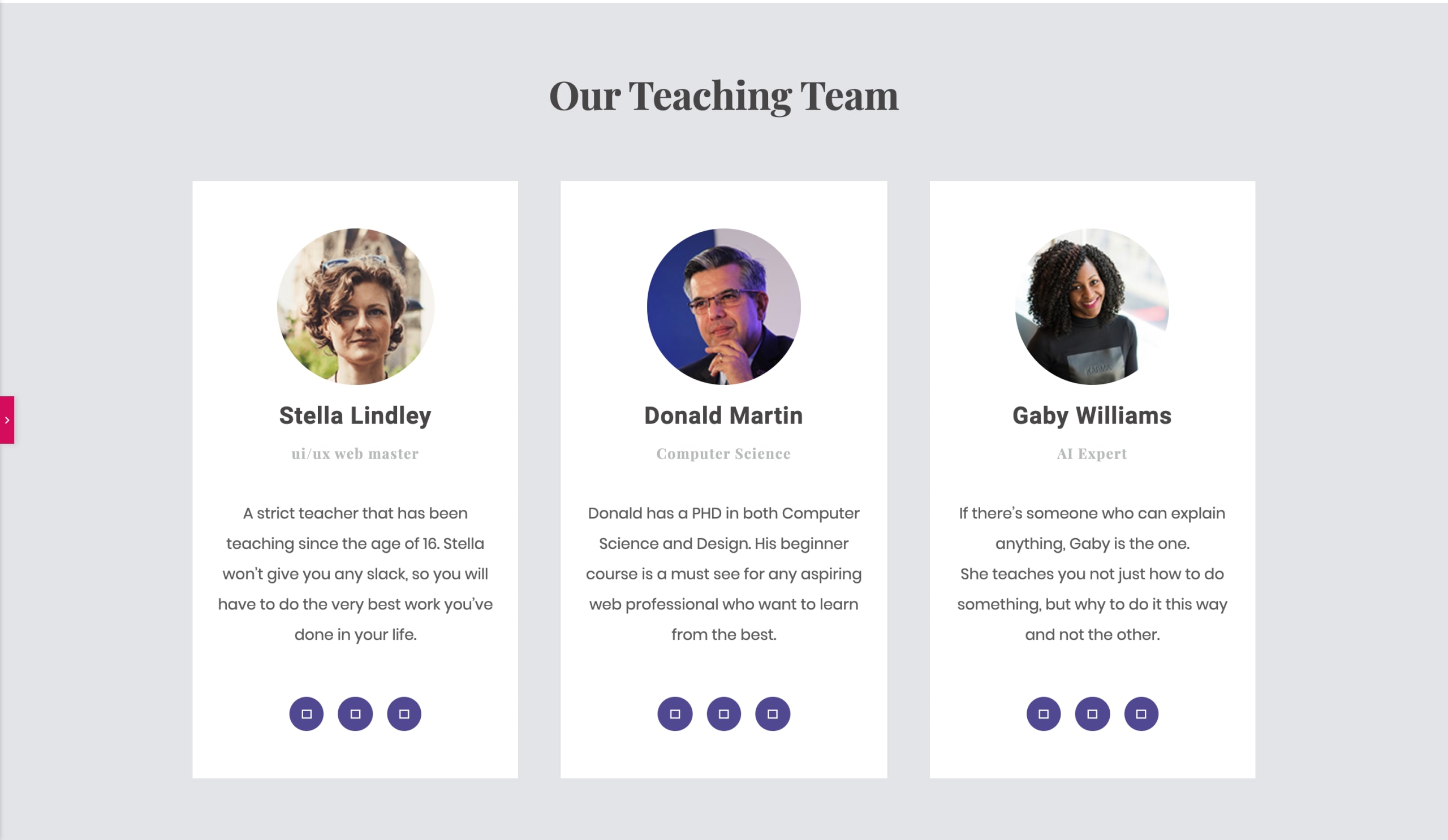 In our template, the team section has photos, names, subtitles, descriptions and placeholders for social icons.