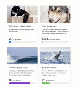 Give Donation Form Grid