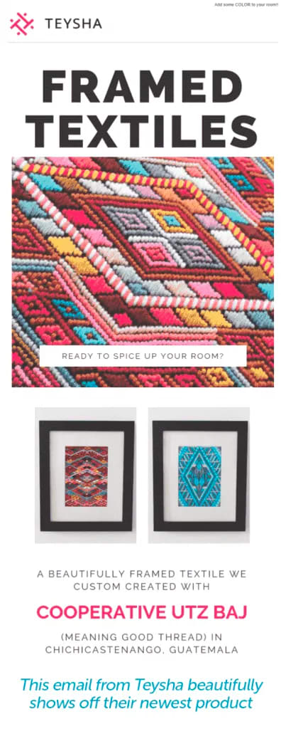 Teysha promotional email example