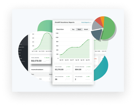 GiveWP fundraising reports include visualizations you can use in your donor impact report.