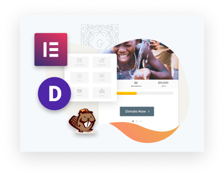 Donation forms that work with any page builder, including Elementor, Divi, and Beaver Builder.