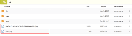 files uploaded and showing in directory