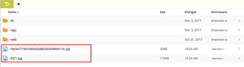 files uploaded and showing in directory