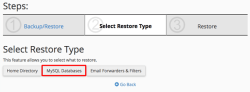 mysql databases highlighted