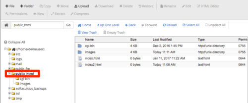 public_html directory highlighted