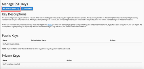 Generate new key button highlighted