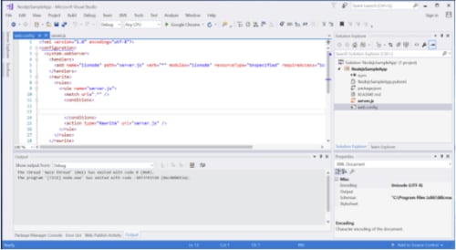 code showing in visual studio