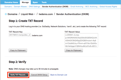 verify txt record button highlighted