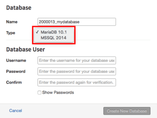 type of database dropdown menu