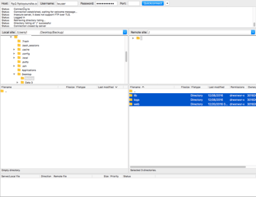 files highlighted as selected