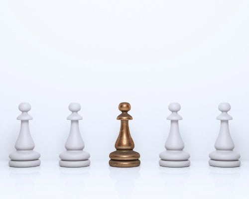elevates-your-business's-standing