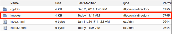 New folder highlighted in public_html list