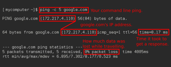 ping command and results example