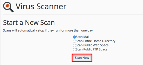 scan now button highlighted