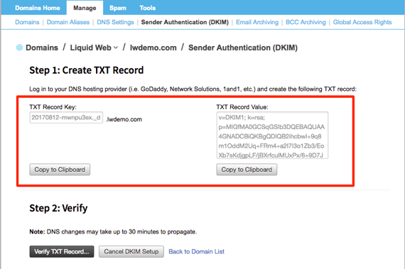 txt record section highlighted