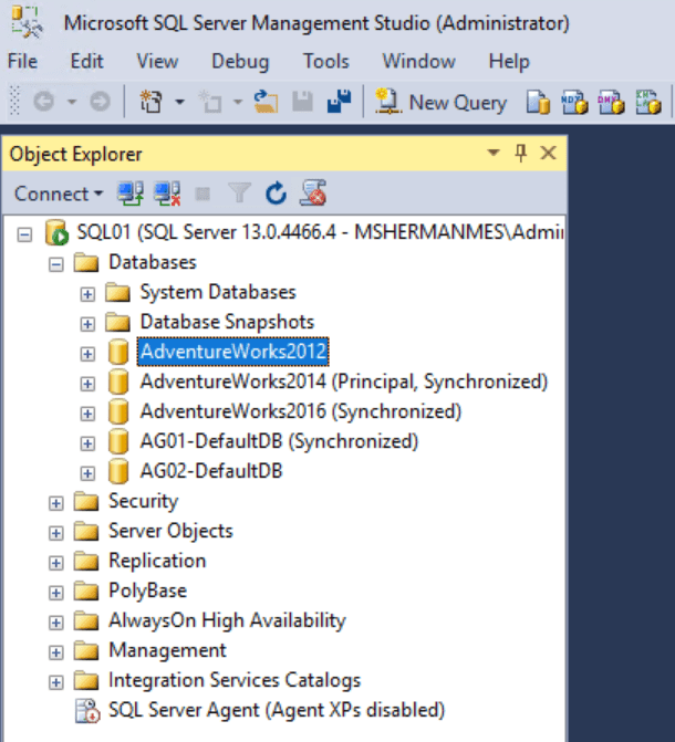 Select your database within Microsoft SQL Server Management Studio.