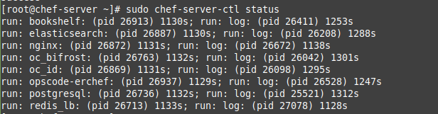 To check the status of components, run the chef-server-ctl command, producing this output.