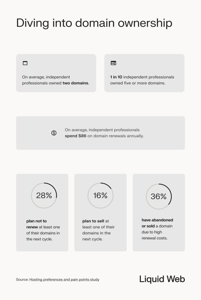 Domain statistics infographic: the average independent professional owns 2 domains, and spend an average of $86 on renewals. Professionals also plan to drop domains, sell domains, or have abandoned domains due to high renewal costs.