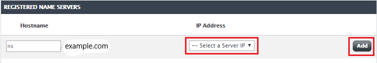 setting up a private nameserver screen