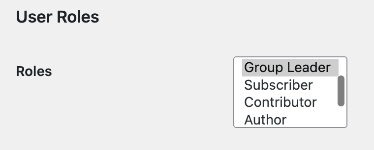Group Leader Role 2