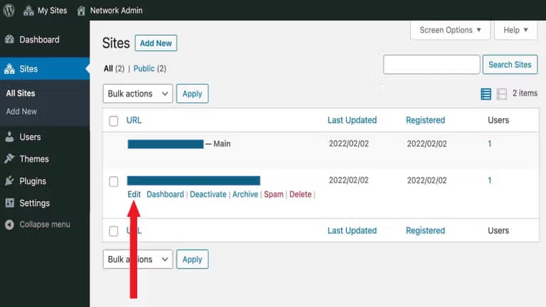 wp multisites edit site screenshot