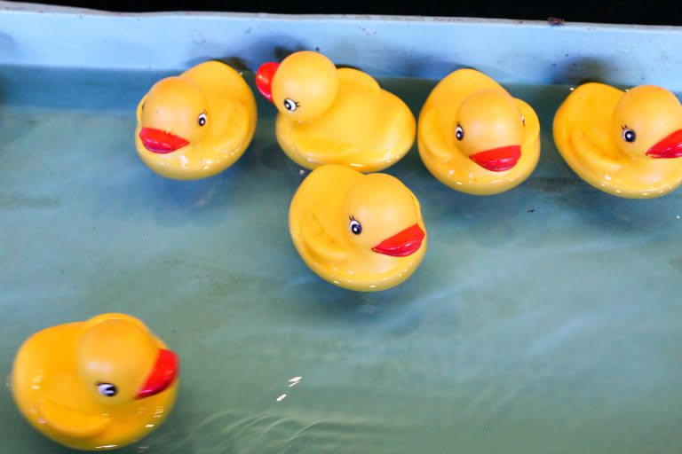 Rubber ducks in a carnival duck pond.