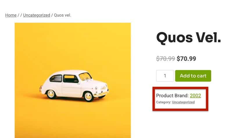 Product Brand Text