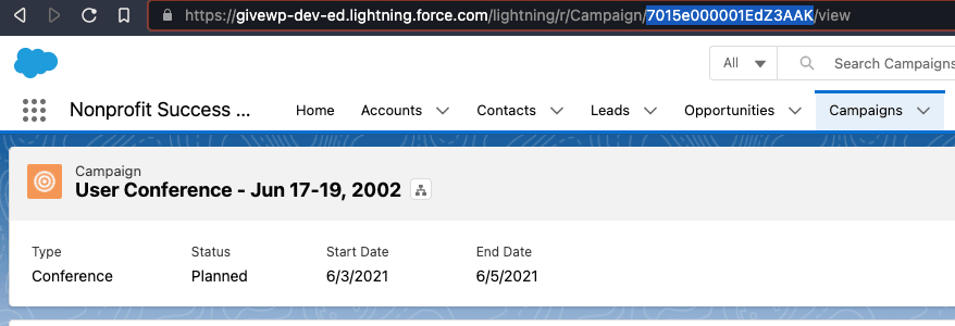 The individual campaign screen on Salesforce's side, with the URL/slug showing on the screenshot.
