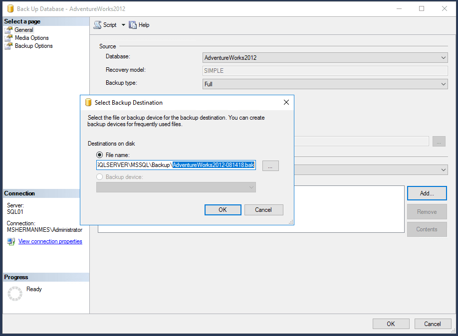 Set the file name with the .bak extension in Microsoft SQL Server Management Studio