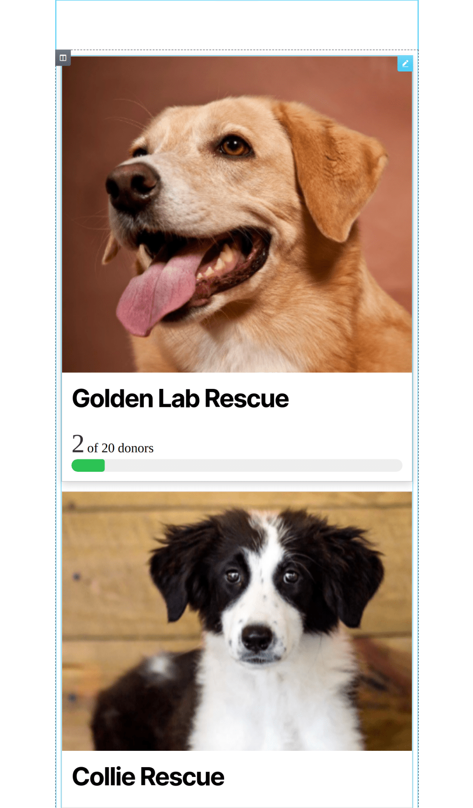 GiveWP Form Grid Widget