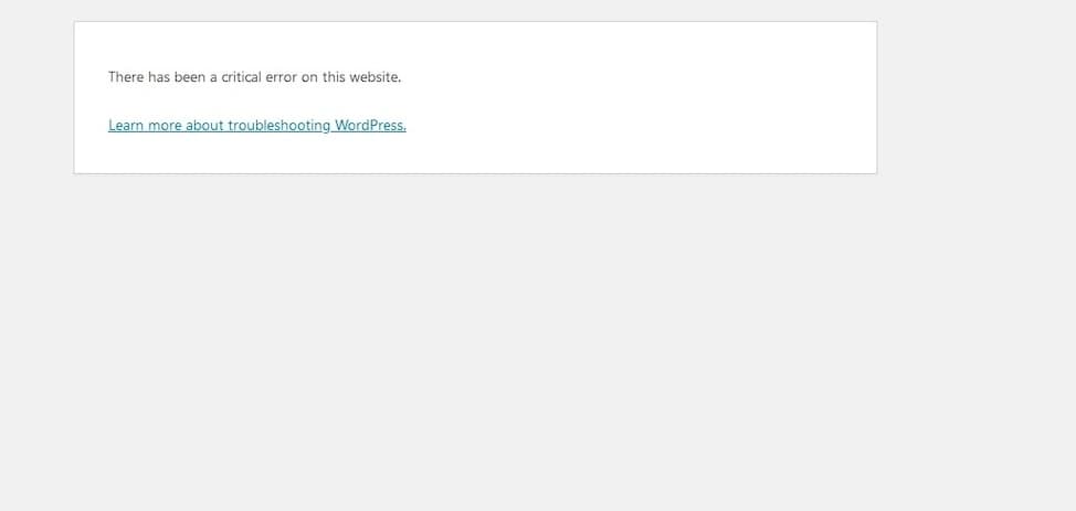 critical error screenshot