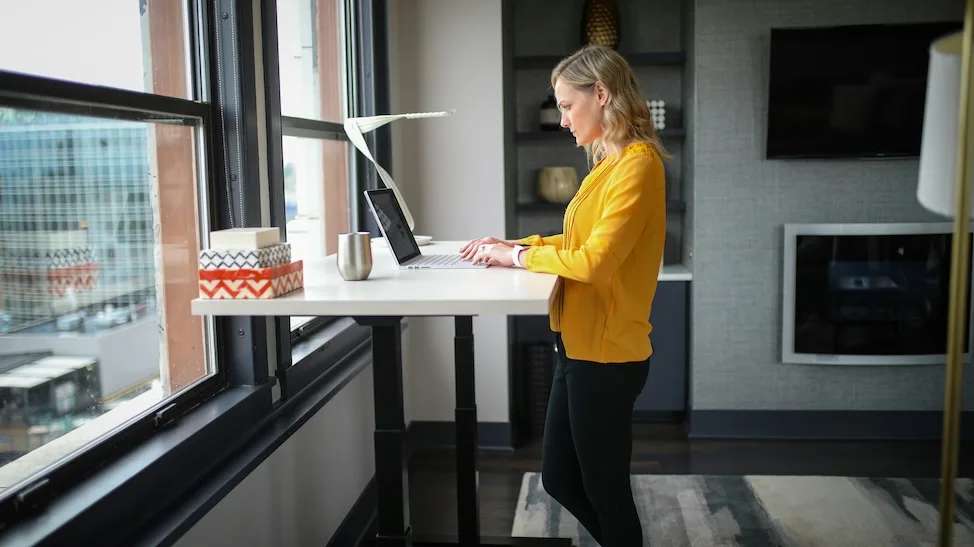project manager using wordpress plugins