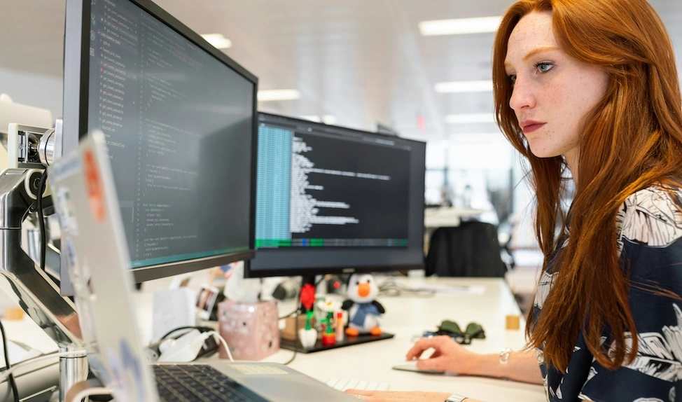 developer using wp cli