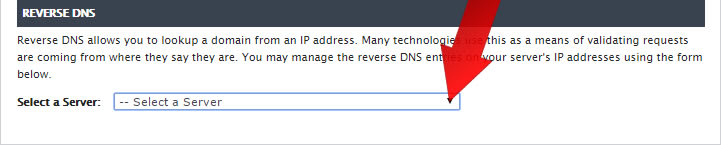 Using Manage to Update Reverse DNS