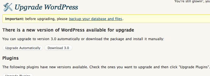 WordPress Upgrade