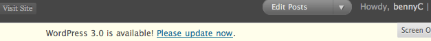 WordPress "Upgrade Now"