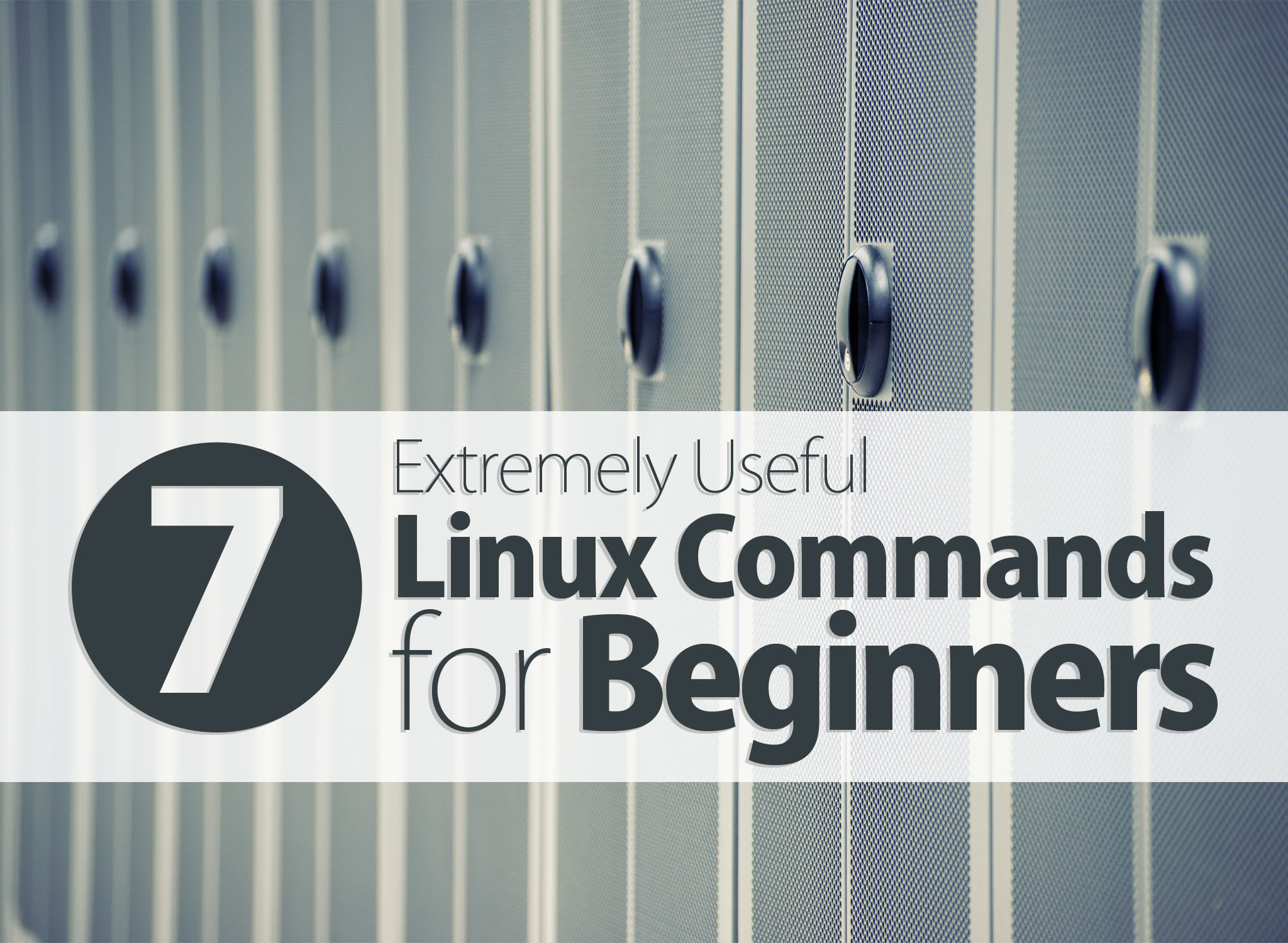 7 Extremely Useful Linux Commands for Beginners