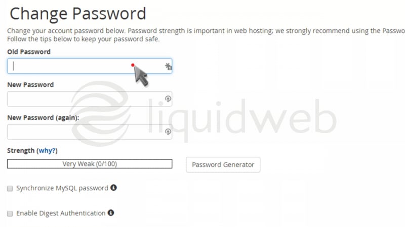 cpanel-paperlantern-10-password--04