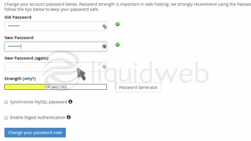 cpanel-paperlantern-10-password--05