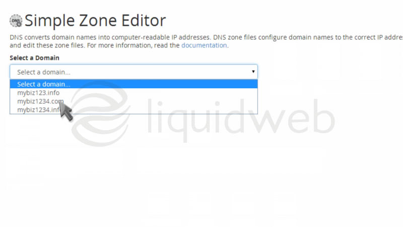 cpanel-paperlantern-14-dns--04