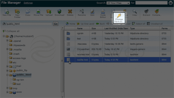 filemgr-cpanel-9-permissions-scene3_1