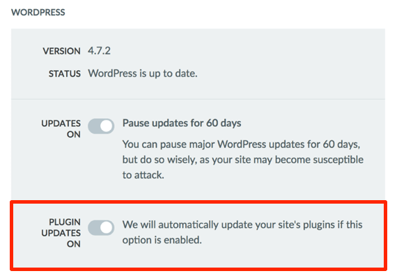 Plugin Updates On option