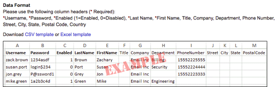 data format example