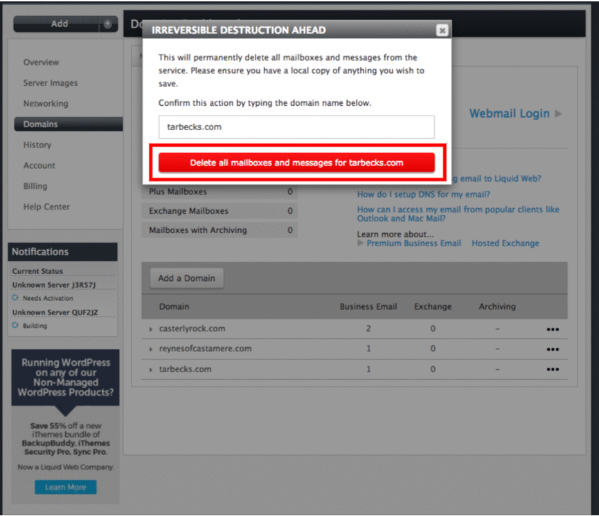 Email Hosting: Domain Name to Delete