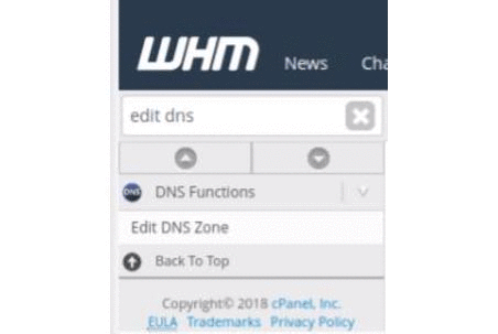 Edit DNS in WHM